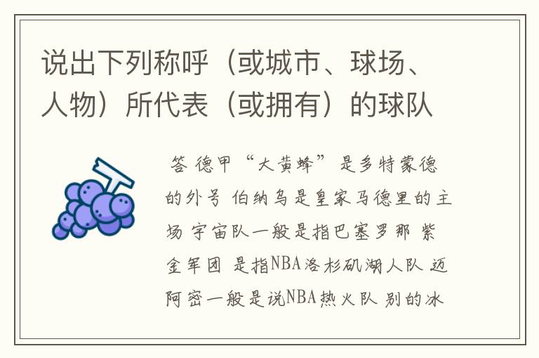 说出下列称呼（或城市、球场、人物）所代表（或拥有）的球队: 德甲“大黄蜂” 伯纳乌 宇宙队 紫