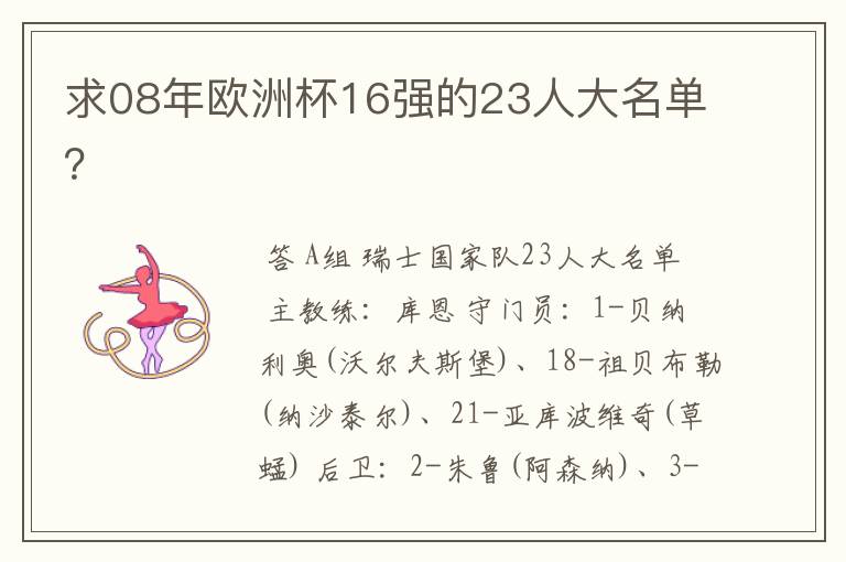 求08年欧洲杯16强的23人大名单？