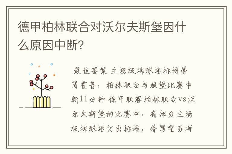 德甲柏林联合对沃尔夫斯堡因什么原因中断？