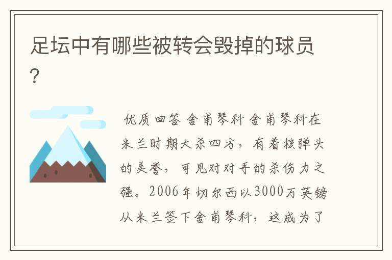 足坛中有哪些被转会毁掉的球员？