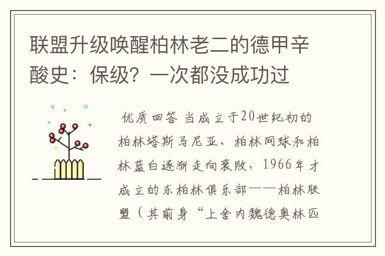 联盟升级唤醒柏林老二的德甲辛酸史：保级？一次都没成功过