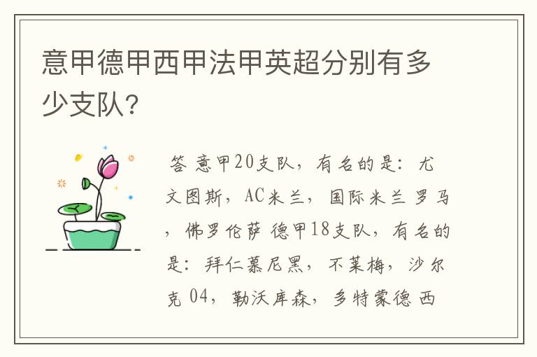 意甲德甲西甲法甲英超分别有多少支队?