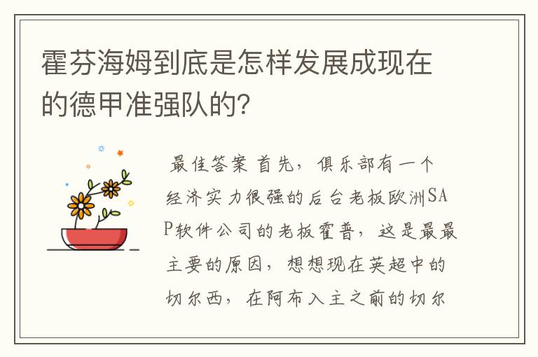 霍芬海姆到底是怎样发展成现在的德甲准强队的？