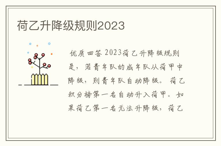 荷乙升降级规则2023