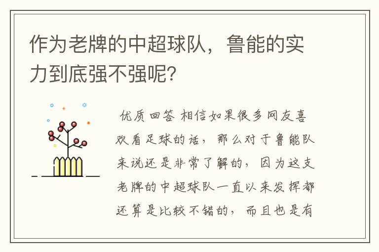 作为老牌的中超球队，鲁能的实力到底强不强呢？