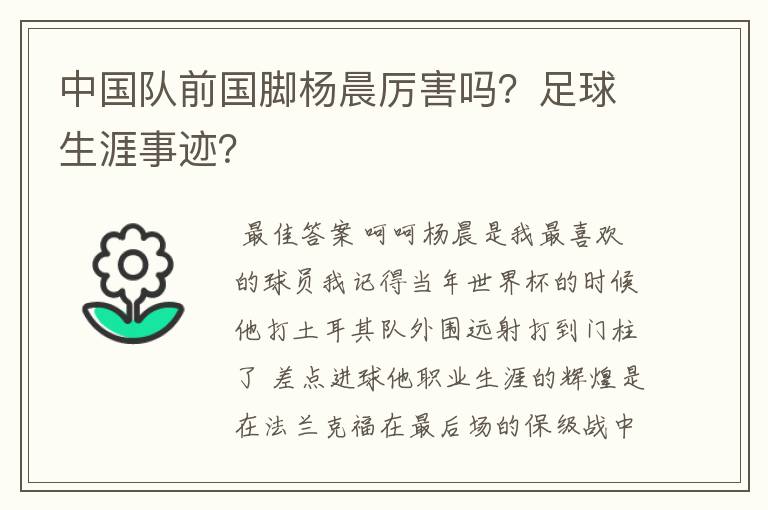 中国队前国脚杨晨厉害吗？足球生涯事迹？