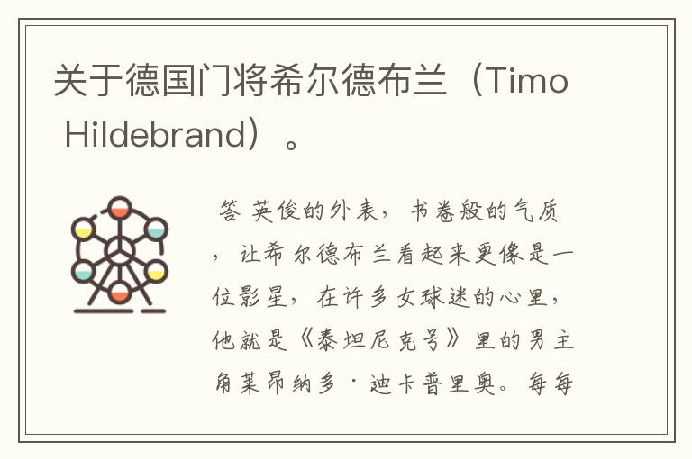 关于德国门将希尔德布兰（Timo Hildebrand）。