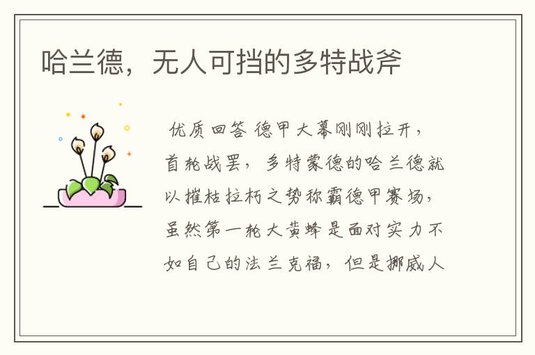 哈兰德，无人可挡的多特战斧