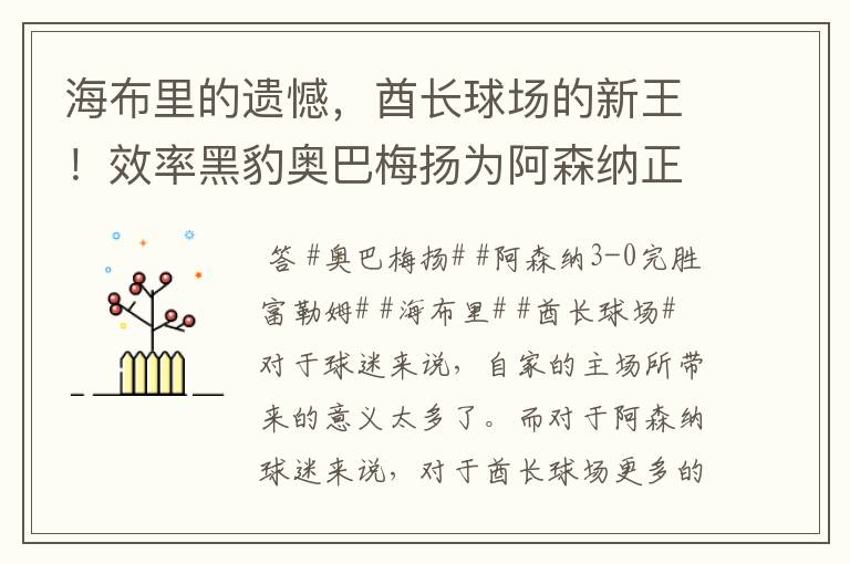 海布里的遗憾，酋长球场的新王！效率黑豹奥巴梅扬为阿森纳正名！