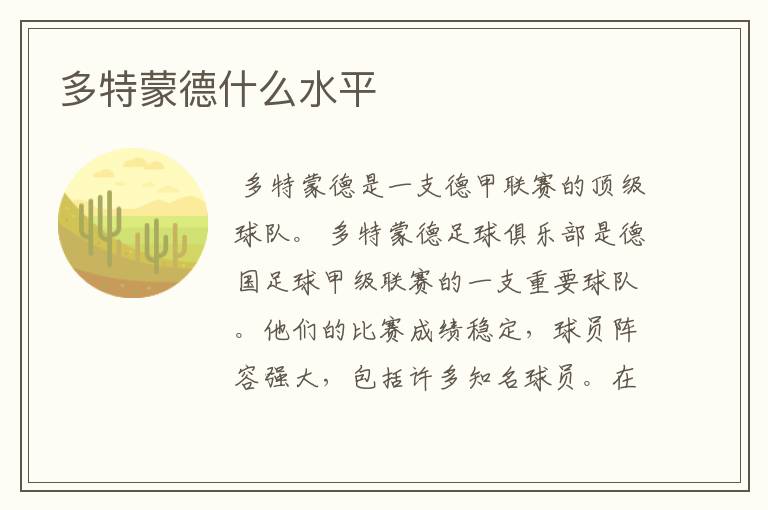 多特蒙德什么水平