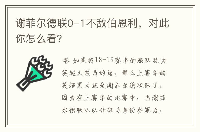 谢菲尔德联0-1不敌伯恩利，对此你怎么看？