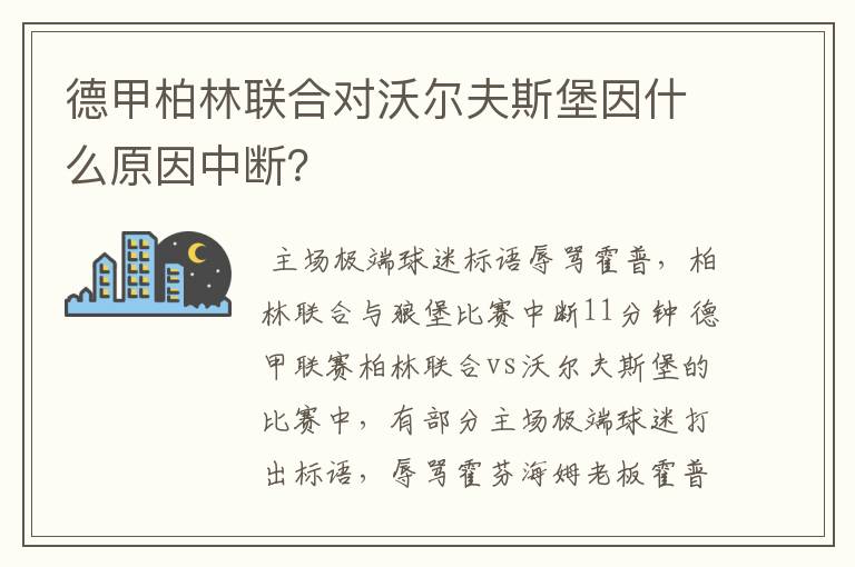 德甲柏林联合对沃尔夫斯堡因什么原因中断？