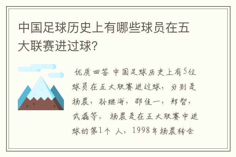 中国足球历史上有哪些球员在五大联赛进过球？