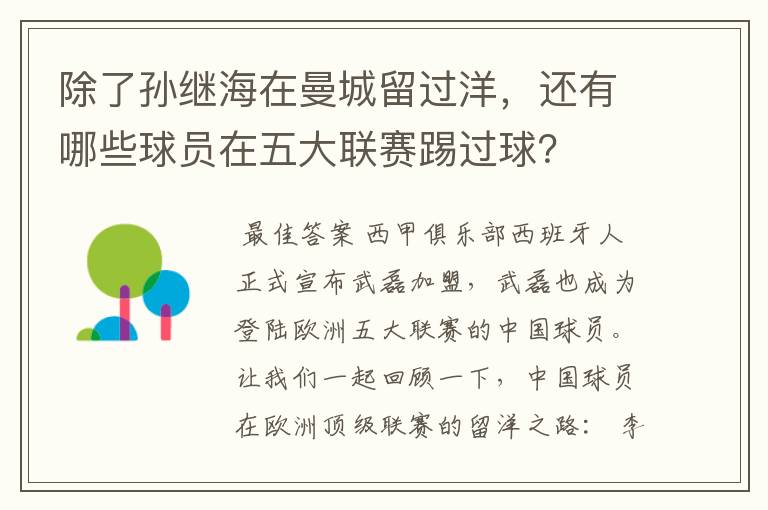 除了孙继海在曼城留过洋，还有哪些球员在五大联赛踢过球？