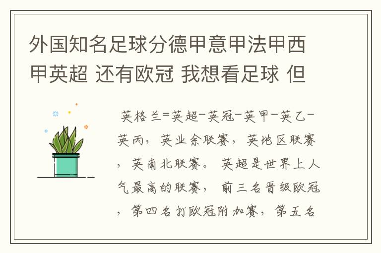 外国知名足球分德甲意甲法甲西甲英超 还有欧冠 我想看足球 但不知道怎么分辨他们怎么进行比赛的