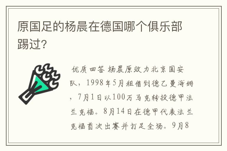 原国足的杨晨在德国哪个俱乐部踢过?