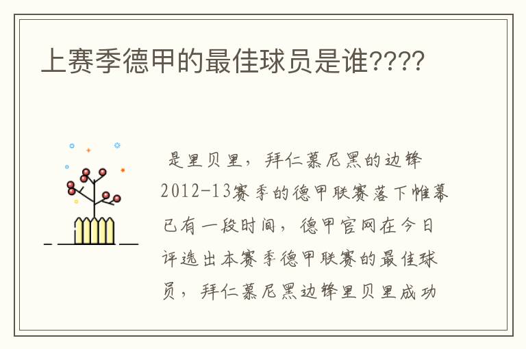 上赛季德甲的最佳球员是谁???？