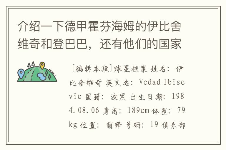 介绍一下德甲霍芬海姆的伊比舍维奇和登巴巴，还有他们的国家队履历