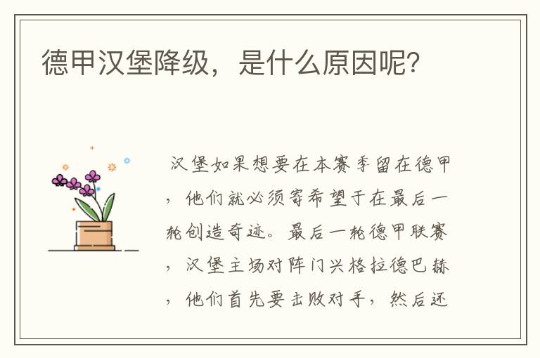 德甲汉堡降级，是什么原因呢？