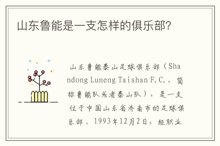 山东鲁能是一支怎样的俱乐部？