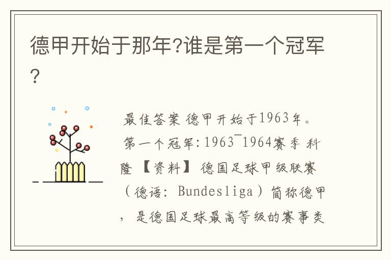 德甲开始于那年?谁是第一个冠军?