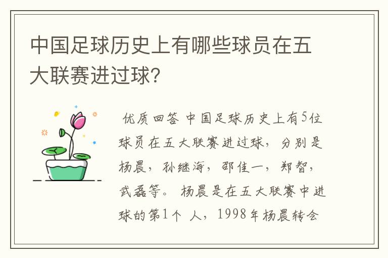 中国足球历史上有哪些球员在五大联赛进过球？