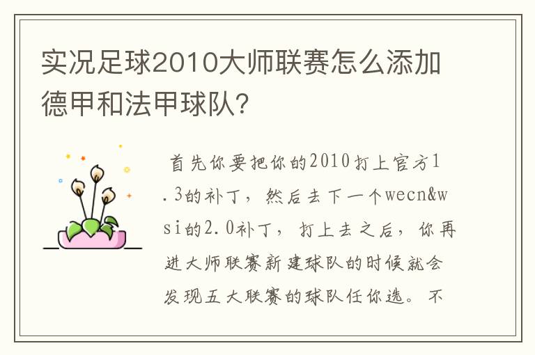 实况足球2010大师联赛怎么添加德甲和法甲球队？