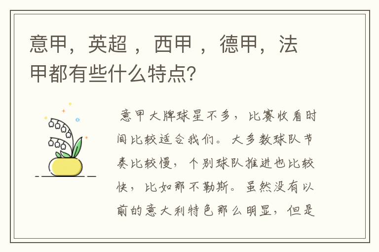 意甲，英超 ，西甲 ，德甲，法甲都有些什么特点？