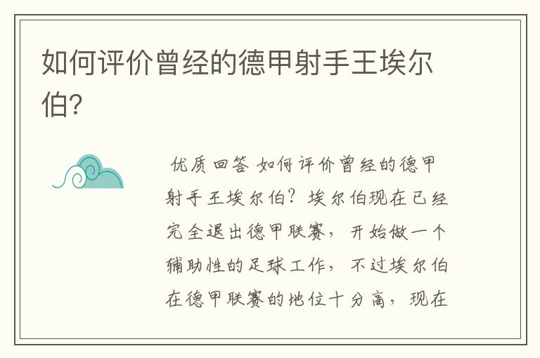 如何评价曾经的德甲射手王埃尔伯？