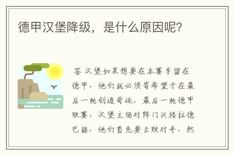 德甲汉堡降级，是什么原因呢？