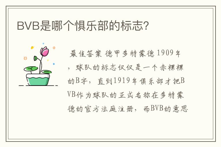 BVB是哪个惧乐部的标志？