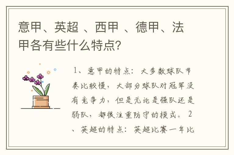 意甲、英超 、西甲 、德甲、法甲各有些什么特点？