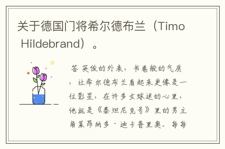 关于德国门将希尔德布兰（Timo Hildebrand）。