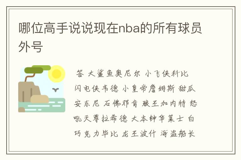 哪位高手说说现在nba的所有球员外号