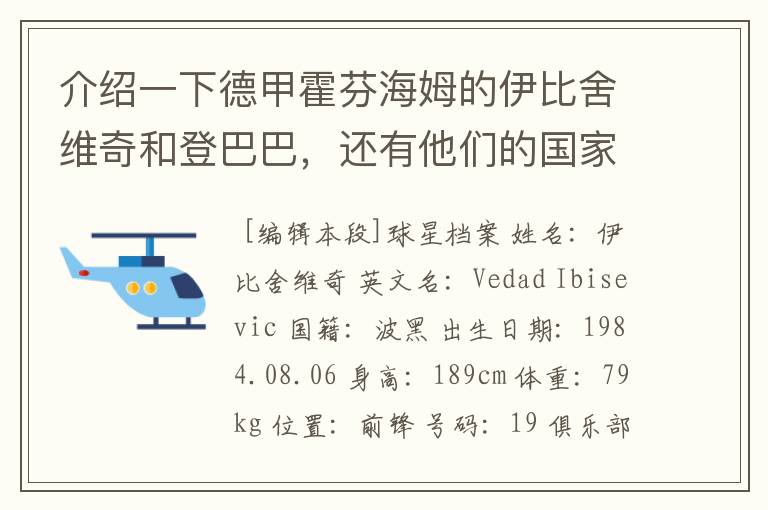 介绍一下德甲霍芬海姆的伊比舍维奇和登巴巴，还有他们的国家队履历