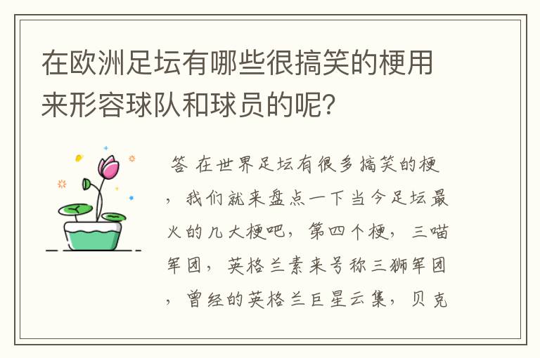 在欧洲足坛有哪些很搞笑的梗用来形容球队和球员的呢？