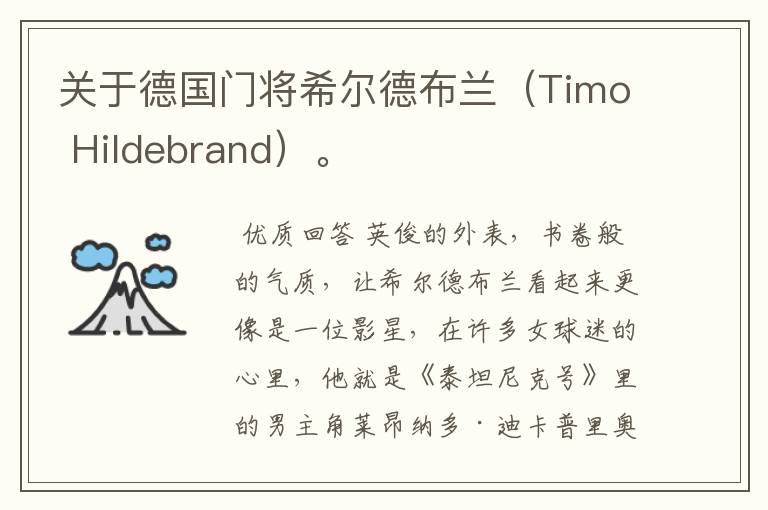 关于德国门将希尔德布兰（Timo Hildebrand）。