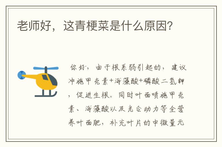 老师好，这青梗菜是什么原因？