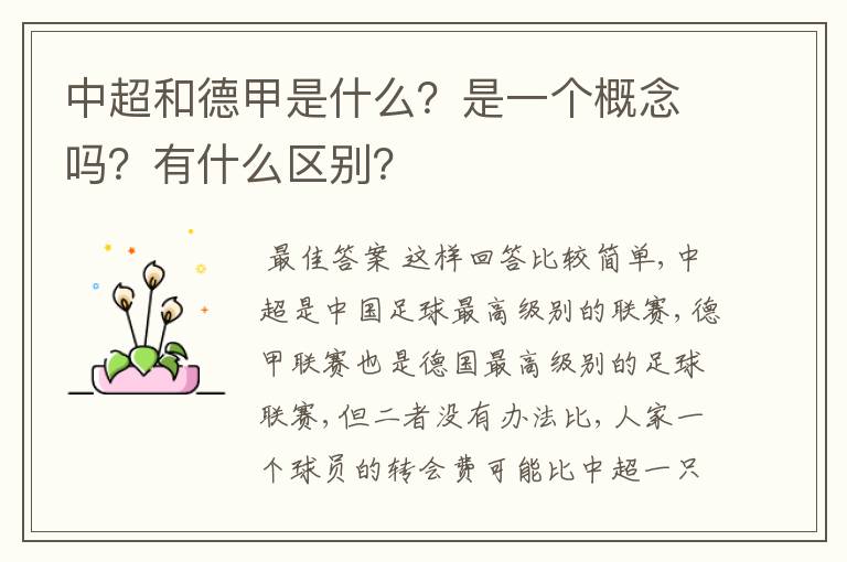 中超和德甲是什么？是一个概念吗？有什么区别？