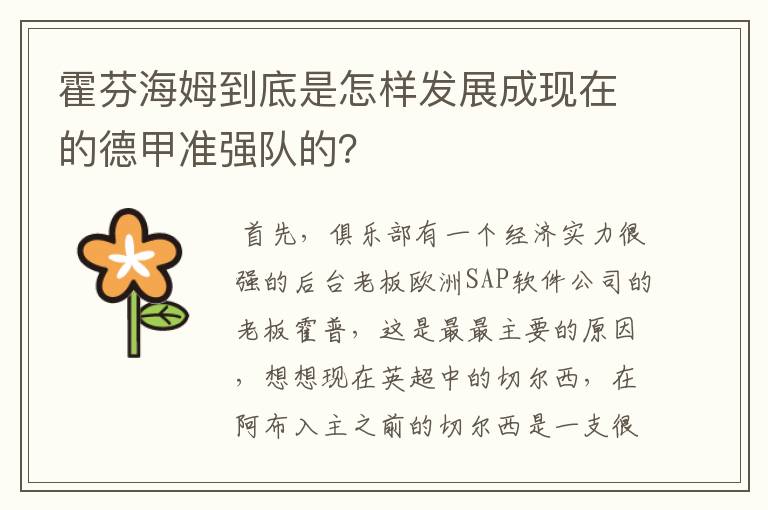 霍芬海姆到底是怎样发展成现在的德甲准强队的？