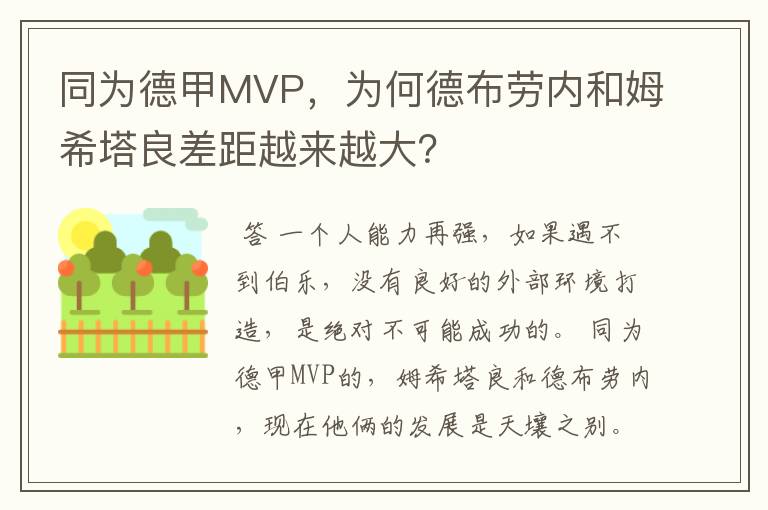 同为德甲MVP，为何德布劳内和姆希塔良差距越来越大？