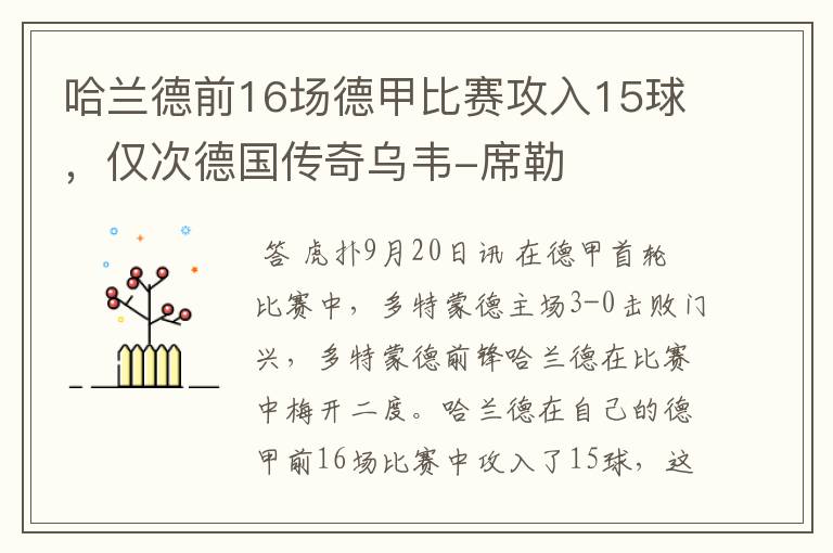 哈兰德前16场德甲比赛攻入15球，仅次德国传奇乌韦-席勒