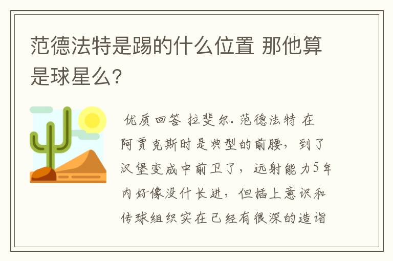 范德法特是踢的什么位置 那他算是球星么?