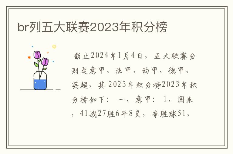 br列五大联赛2023年积分榜