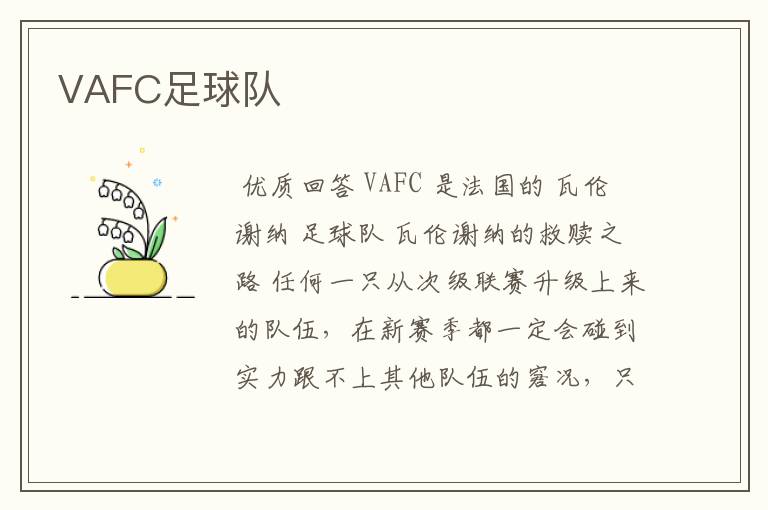 VAFC足球队