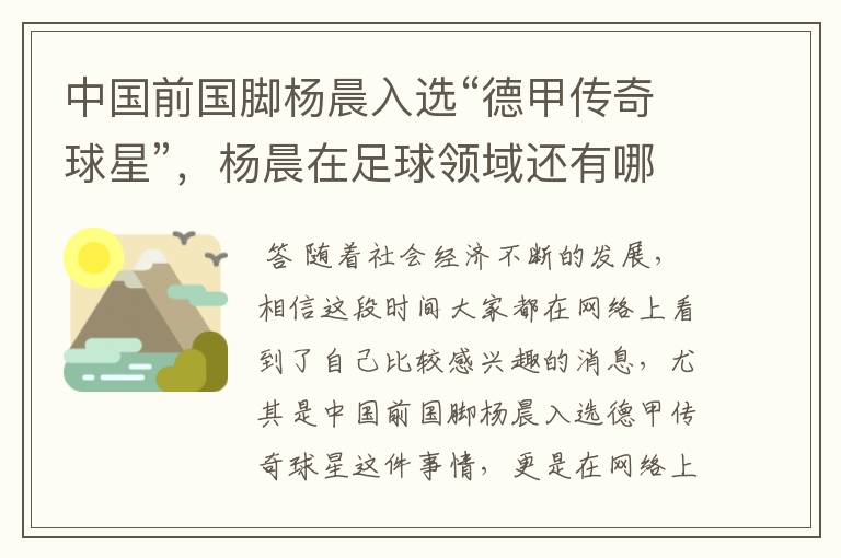 中国前国脚杨晨入选“德甲传奇球星”，杨晨在足球领域还有哪些成就？