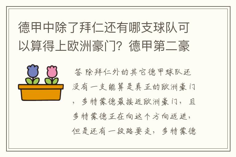 德甲中除了拜仁还有哪支球队可以算得上欧洲豪门？德甲第二豪门是谁？国家德比是拜仁对谁？