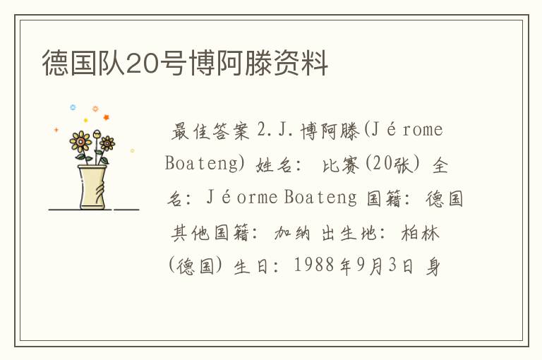 德国队20号博阿滕资料