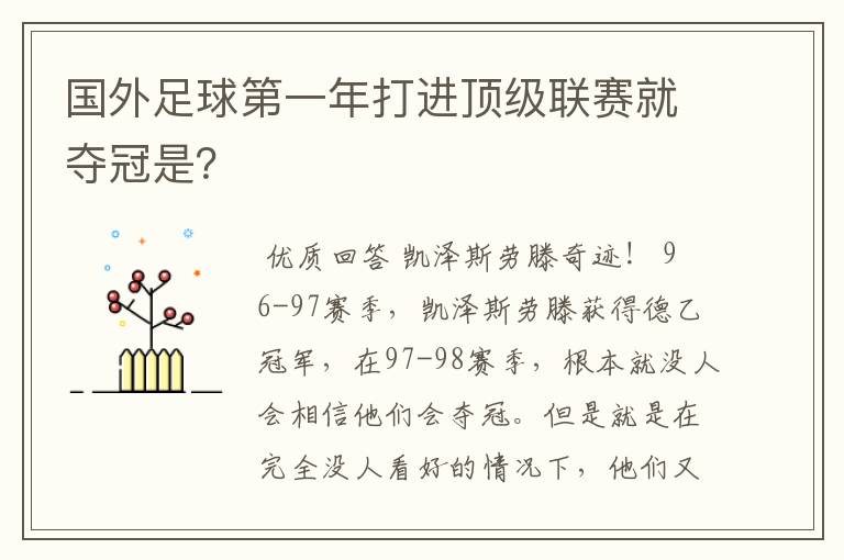 国外足球第一年打进顶级联赛就夺冠是？