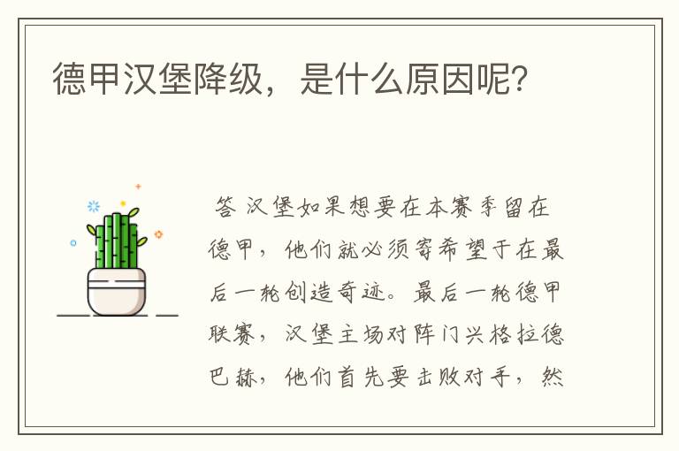 德甲汉堡降级，是什么原因呢？